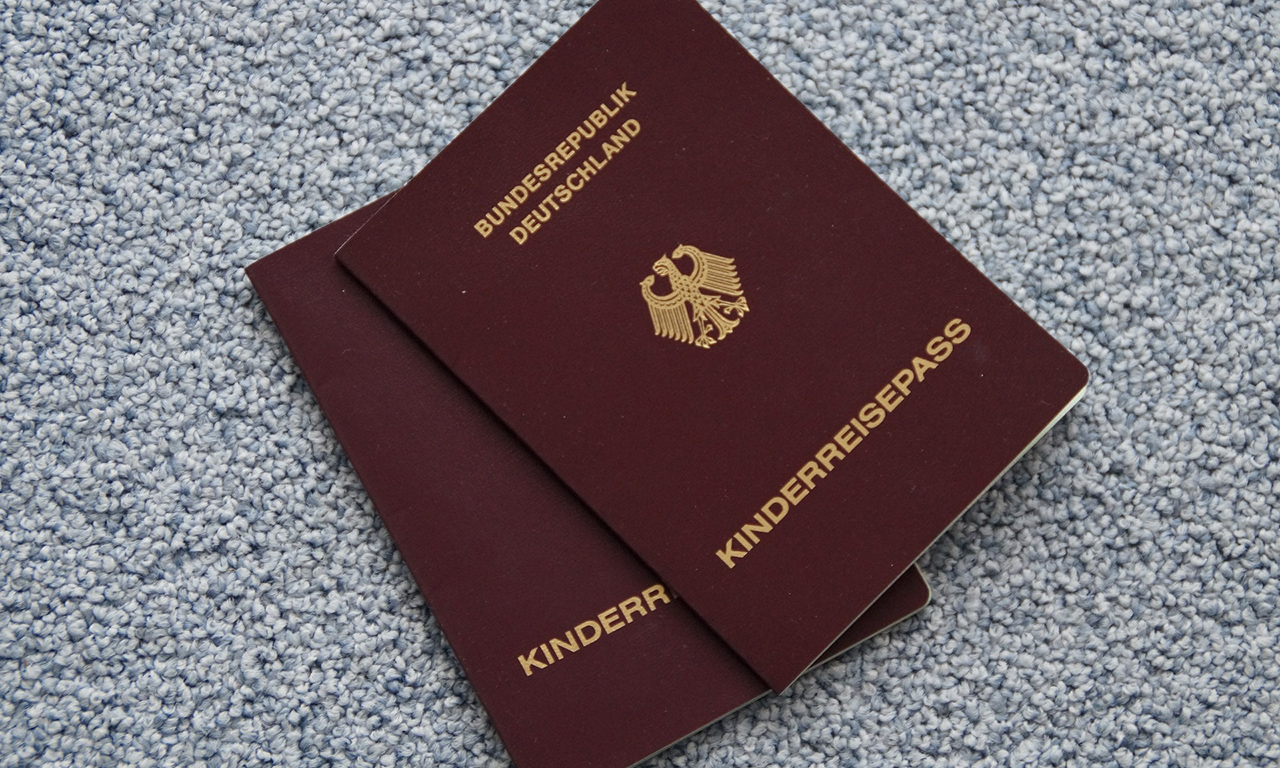 Над 110 хиляди представители от различни страни са подали молби за получаване на германско гражданство, което е с 2,9% повече в сравнение с 2015 година.