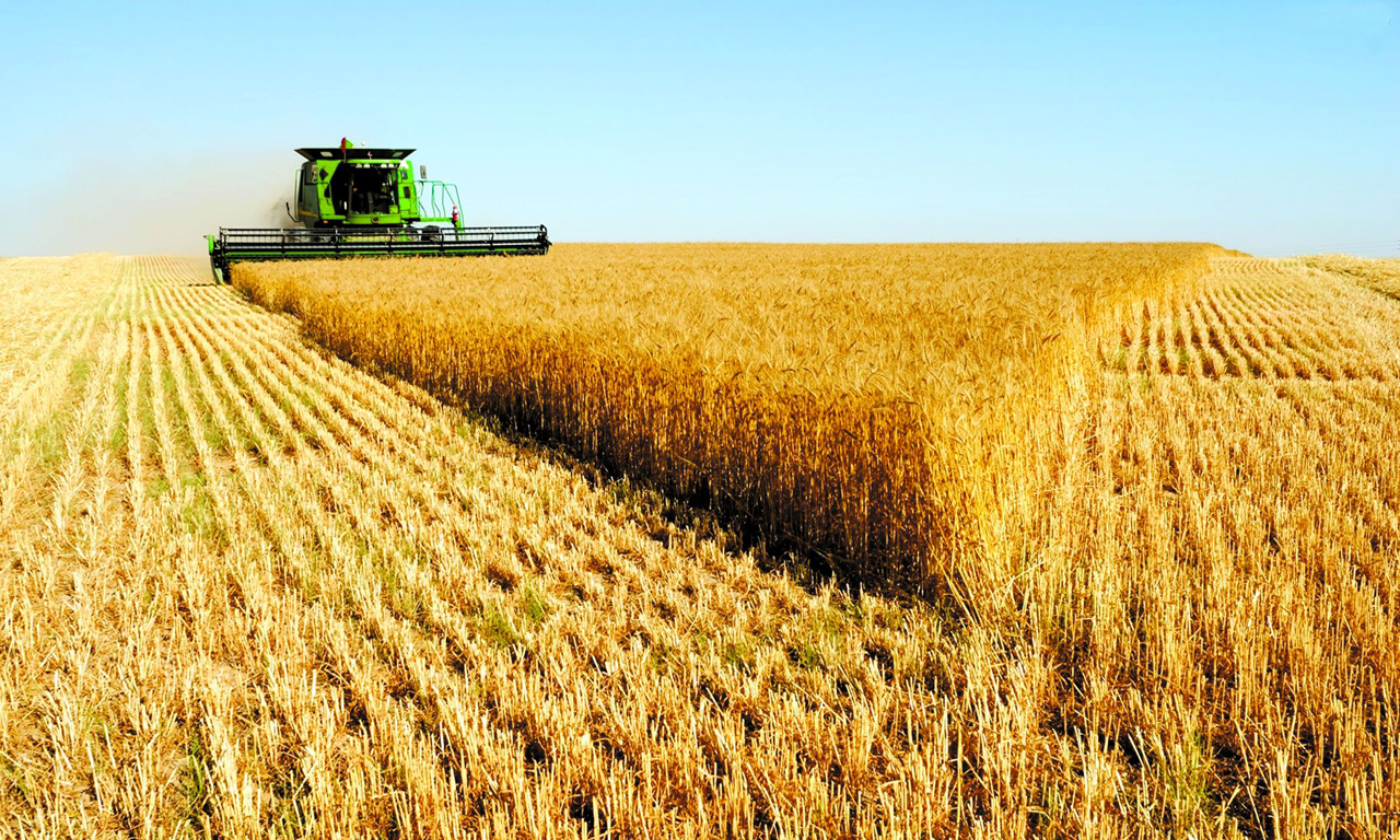 Министерството на земеделието и храните съобщава, че общо 2,8 млн. хектара ниви са заявили досега в кампанията за директни плащания земеделските стопани в България, което представлява 75% от цялата заявена площ през миналата година.
